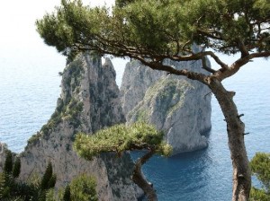 capri