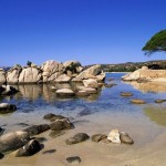 Isola_di_cavallo_corsica