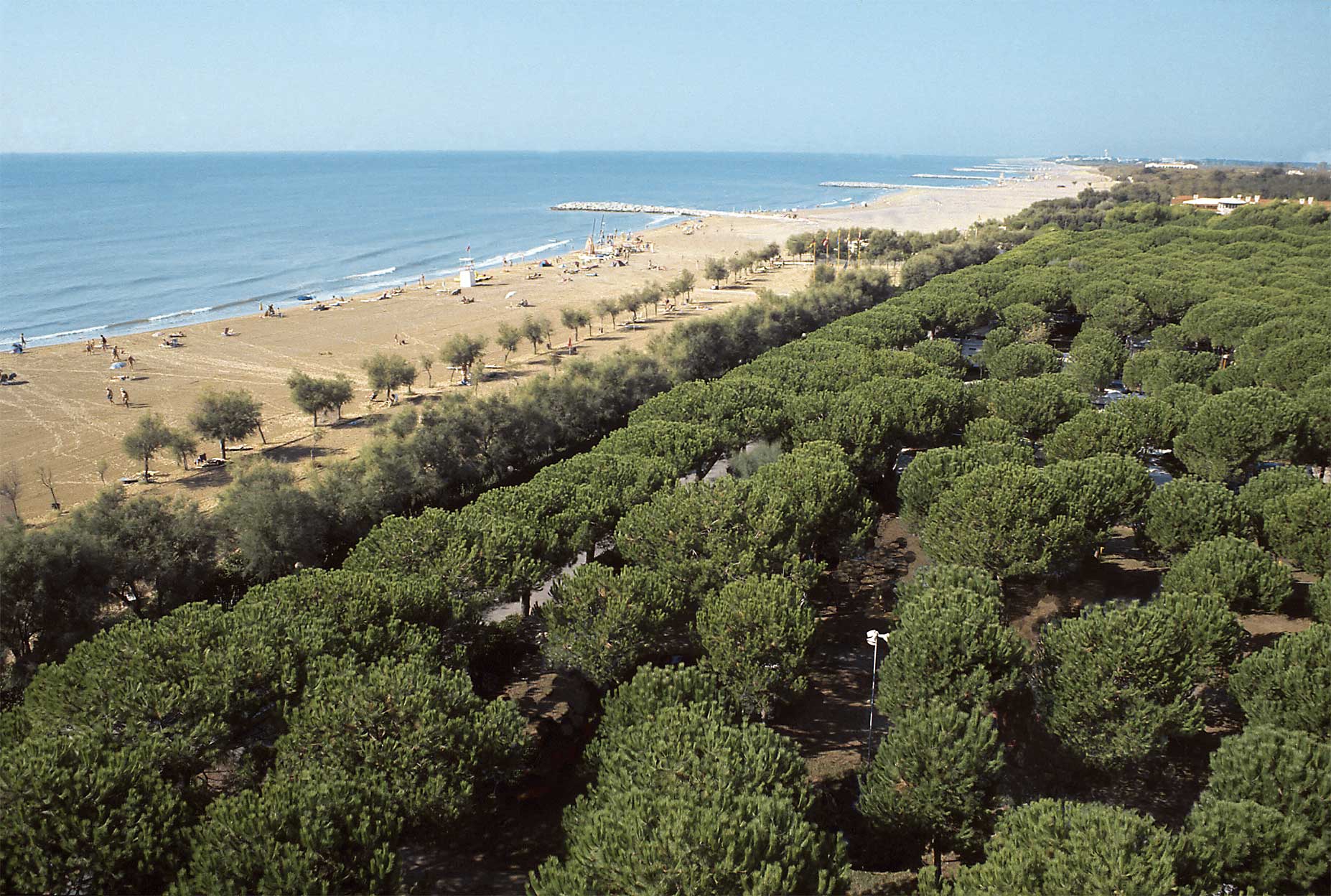 Cavallino Treporti, Bandiera Blu 2013